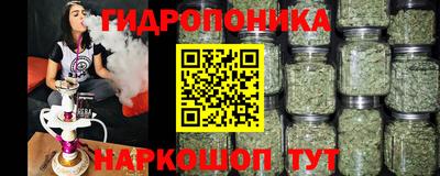 Альфа ПВП Краснознаменск