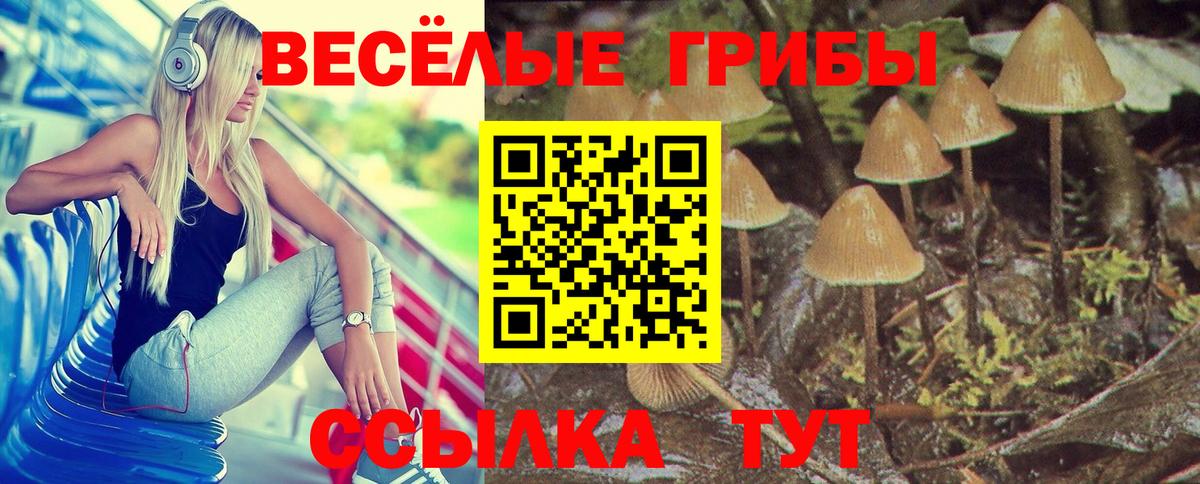 Кировск  Псилоцибиновые грибы Psilocybine cubensis  Псилоцибиновые грибы мухоморы  Вход с VPN 
